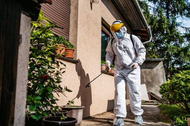Best Best Pest Control Companies  in Houghton, MI