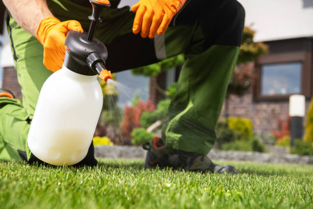 Best Pest Removal Services  in Houghton, MI