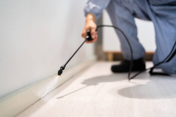 Best Termite Control Services  in Houghton, MI