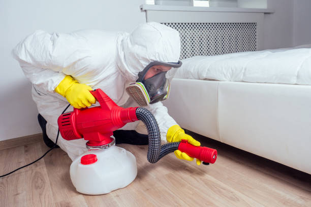 Best Emergency Pest Control  in Houghton, MI