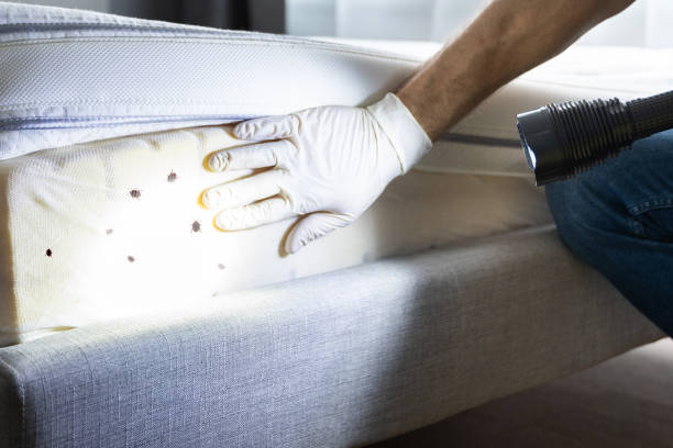 Best Bed Bug Extermination  in Houghton, MI