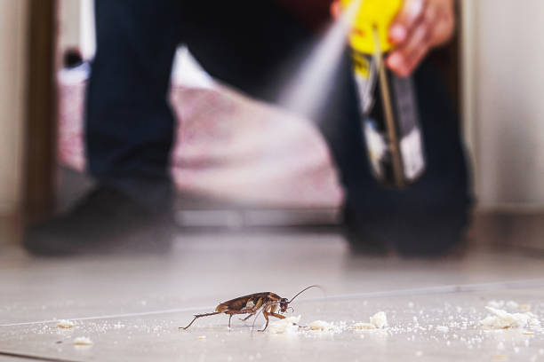 Houghton, MI Pest Control Company