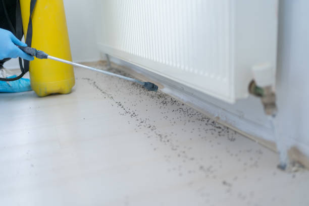 Best Pest Prevention Services  in Houghton, MI
